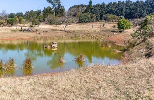 An old earth dam